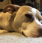 Miles Mcrae - Facebook