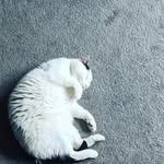 Miles Morton - @miles_morton_private - Instagram