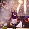 Miles Morton - @nfldebates_ - TikTok