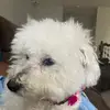 myles morton - @myles.morton - TikTok