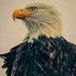 Miles Olson - @47milesolson - Instagram