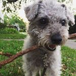 Miles Davis Ortiz - @milesdavisortiz - Instagram