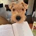 Miles Osgood - Facebook