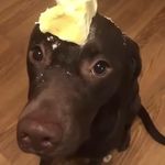 Miles Owens - @miles0wens - Instagram