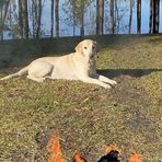 Miles Owens - Facebook