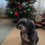 Sue Miles-Pearson - @suemilespearson - Instagram