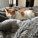 Miles Pennington - @pennington.miles - Instagram