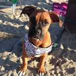 Miles Pennington-kennon - @milestheog - Instagram