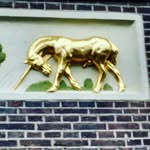 Miles Phillips - @lineforpets - Instagram