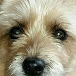 Miles Sullivan - @milessullivan.123 - Instagram