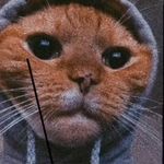 Miles Sullivan - @sullivan.miles - Instagram