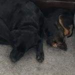 Miles - @milessummers123 - Instagram
