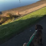 Miles Sutton - @miles.sutton - Instagram