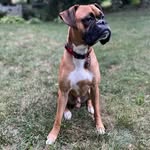 Miles Sutton - @miles_that_guy - Instagram