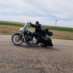 Miles Swanson - @miles.swanson.3 - Instagram