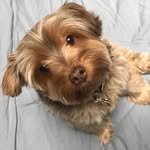 Miles Wallace Johnson - @milesthemonster - Instagram