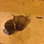 Miles Wang - @miles.wang.378 - Instagram