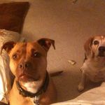 David Miles Whitaker - @davidwhitaker49 - Instagram