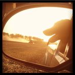 Miles Williamson - Facebook