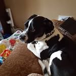 Miles Willis - @miles.willis.9 - Instagram