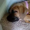 Miley - @mileydavis.xox - TikTok