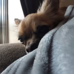Miley Wright - @wright_miley - Instagram