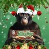 milkywaymunkey 🌌🐒 - @milkywaymunkey - TikTok