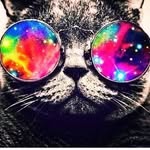 Miller Davis - @millerdavis48 - Instagram