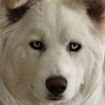 @miller__johnson121 - Instagram