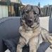 Miller Johnson - Facebook