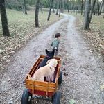 Millicent Converse-Gordon - @millicentconverse - Instagram