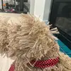 Millie - @millicentlewis8 - TikTok