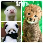 Millicent - @millicentmaster - Instagram