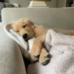Millicent Porter - Facebook