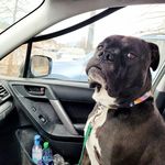 Casey Whale - @millicentryan88 - Instagram