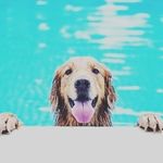 Millicent Smith - @millicent_smith_047 - Instagram