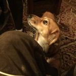 Millicent Waller - @_millicent_waller_ - Instagram
