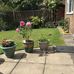 Mollie Abernethy - Facebook
