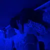 Millie.b - @millie_boswell - TikTok