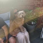 Millie Browne - Facebook