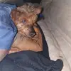 Millie Browne - @millie.browne3 - TikTok