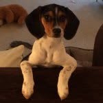 @milliecrumpet - Instagram