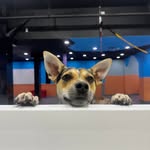 Millie Davidson - @milliepup2024 - Instagram