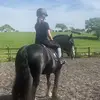 millie - @millie.davidson8 - TikTok
