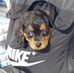 Millie Doyle - Facebook