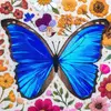 emillieferris - @emillieferris - TikTok