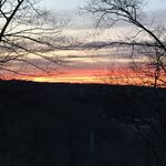 Logan Meseck - @millie_and_ferris_4_ever - Instagram