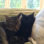 Millie & Frank - @millie_and_frank - Instagram