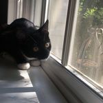 Millie May Frank - @_millie.cat_ - Instagram