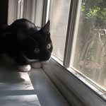 Millie May Frank - @_millie_cat - Instagram
